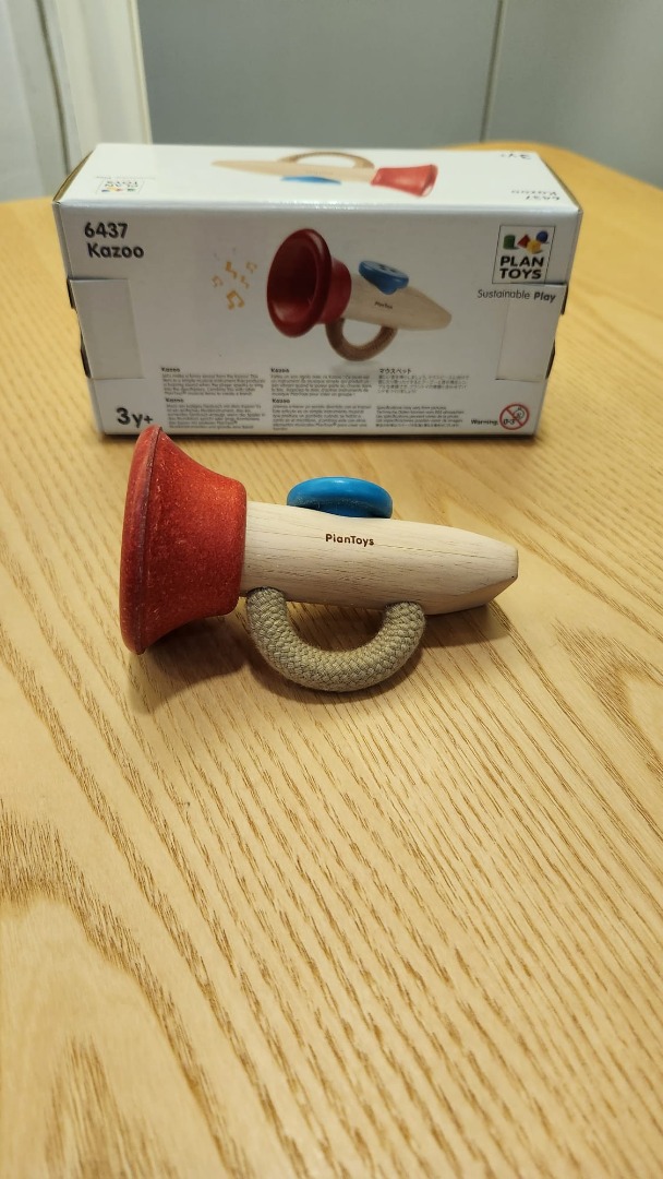 Kazoo plan toys top