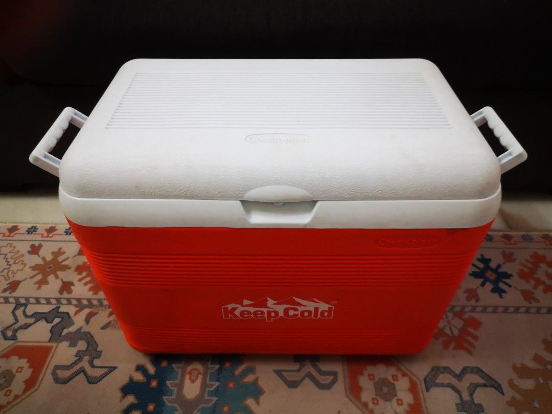 Cosmoplast cheap cooler box