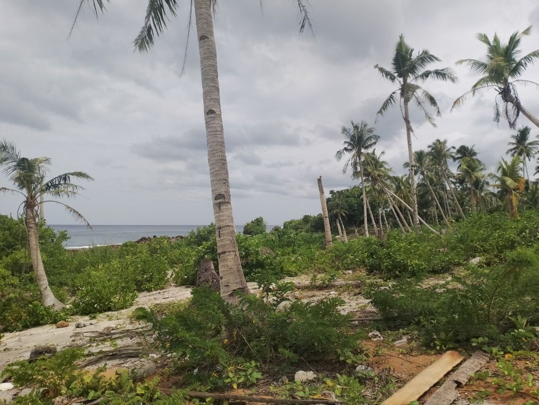 For Sale Siargao Property Pacifico Beachfront, P40.56M, Property