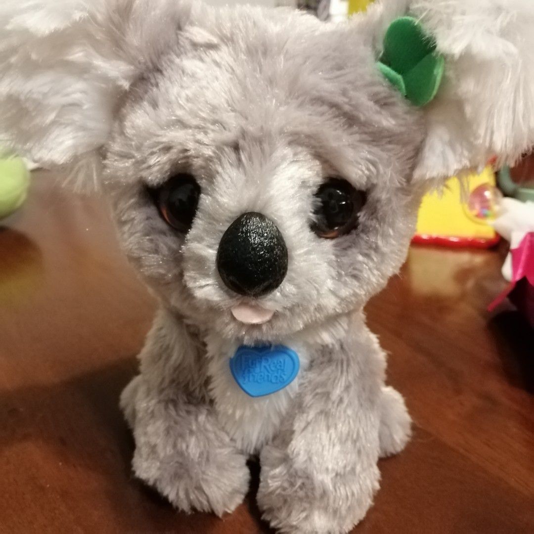 Furreal koala Hobbies Toys Toys Games on Carousell