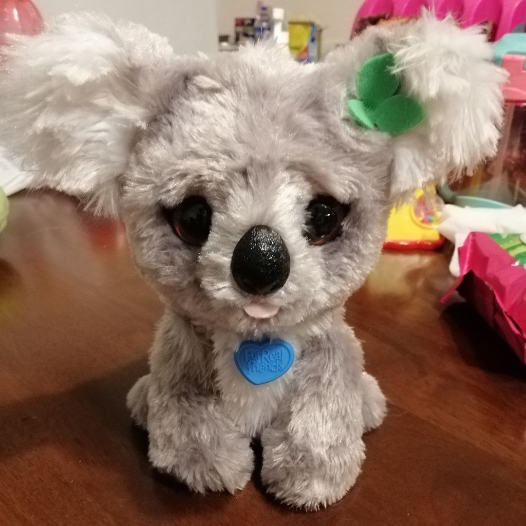 Furreal koala clearance