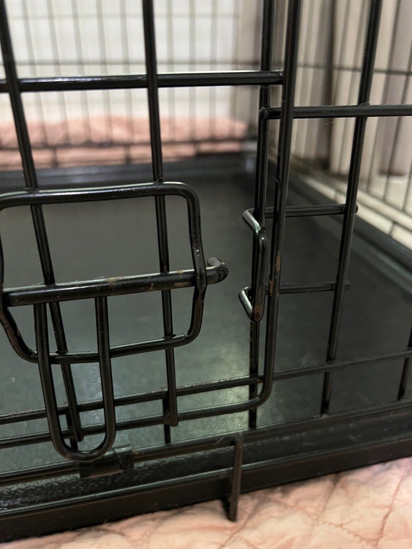 Hagen Dogit 2 Door Dog Crate XL, Pet Supplies, Homes & Other Pet