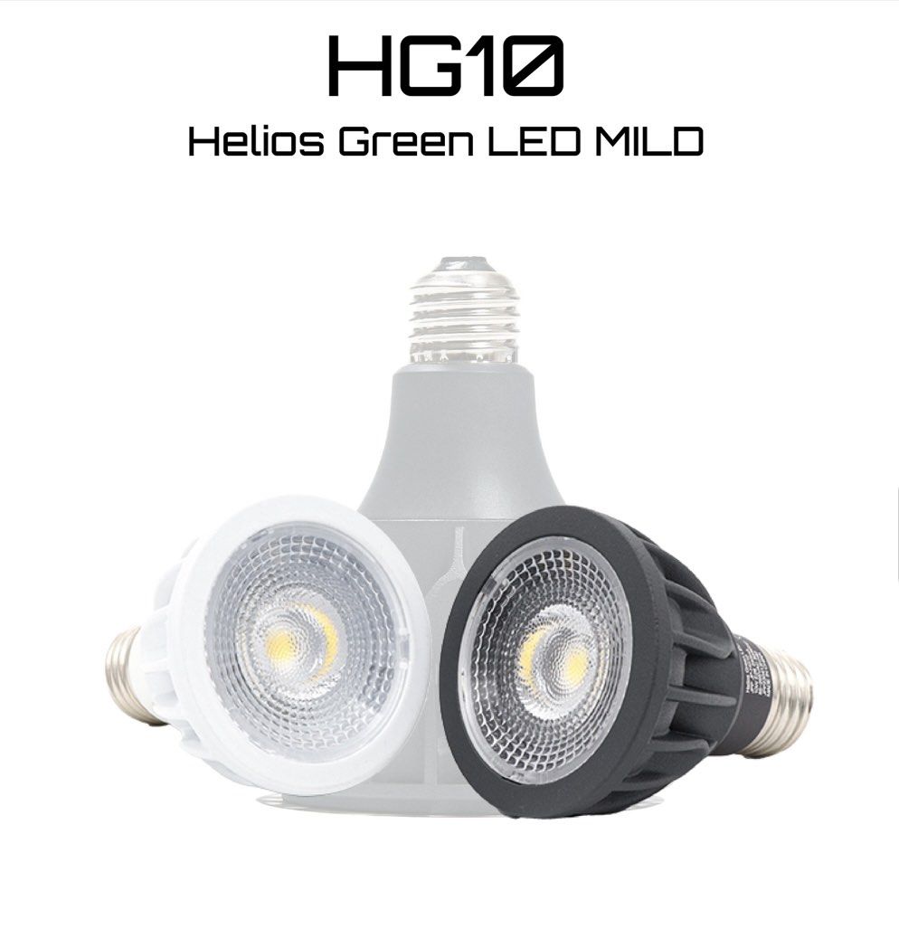 💥New💥現貨反應熱烈黑叻色Helios Green LED MILD HG10 塊根，多肉 