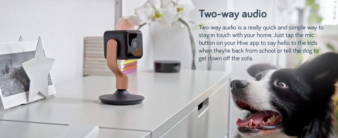 Hive Indoor Security Camera 1080p HD App Remote Viewing Motion Sound Detection Save Downloaded Vidoes