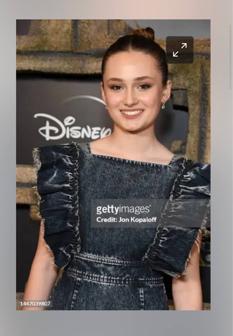 Miu miu 2024 denim dress