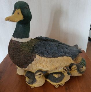 (Category: ) located in . Submitted by sunshinejune (Listing ID 1263075590, Image 1). Description: .