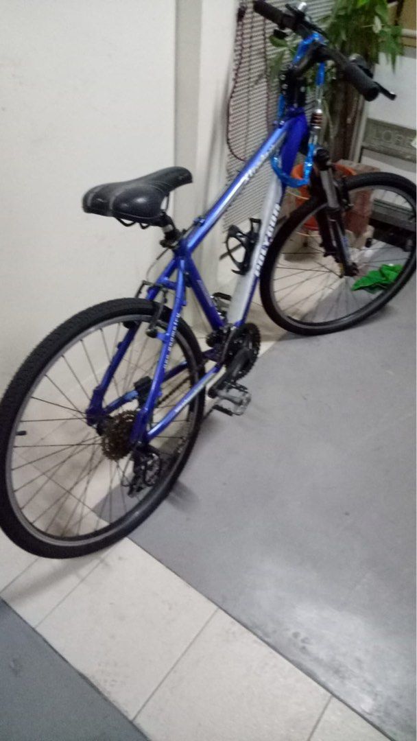 Bike size 23 2025 inch