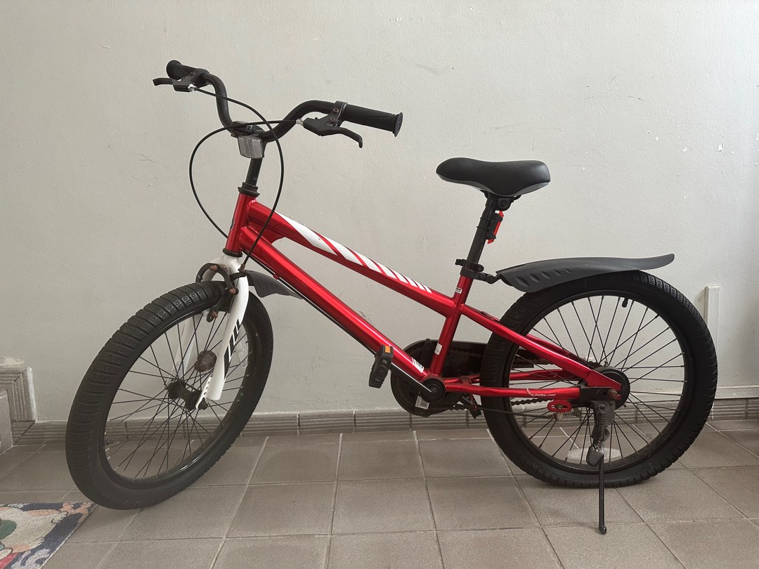 Royalbaby 20 inch online bike