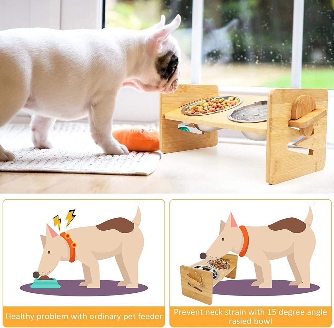 Dog feeder for store sale