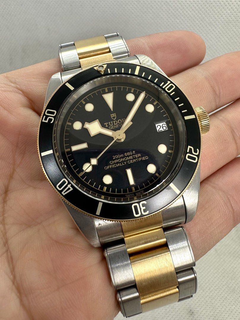 Zf tudor sales black bay s&g