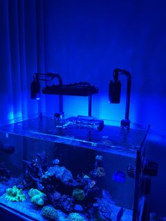 (Category: ) located in . Submitted by jacob_yap (Listing ID 1263133194, Image 1). Description: .