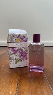 YSL Black Opium vs Zara Gardenia Perfume – Dupeshop