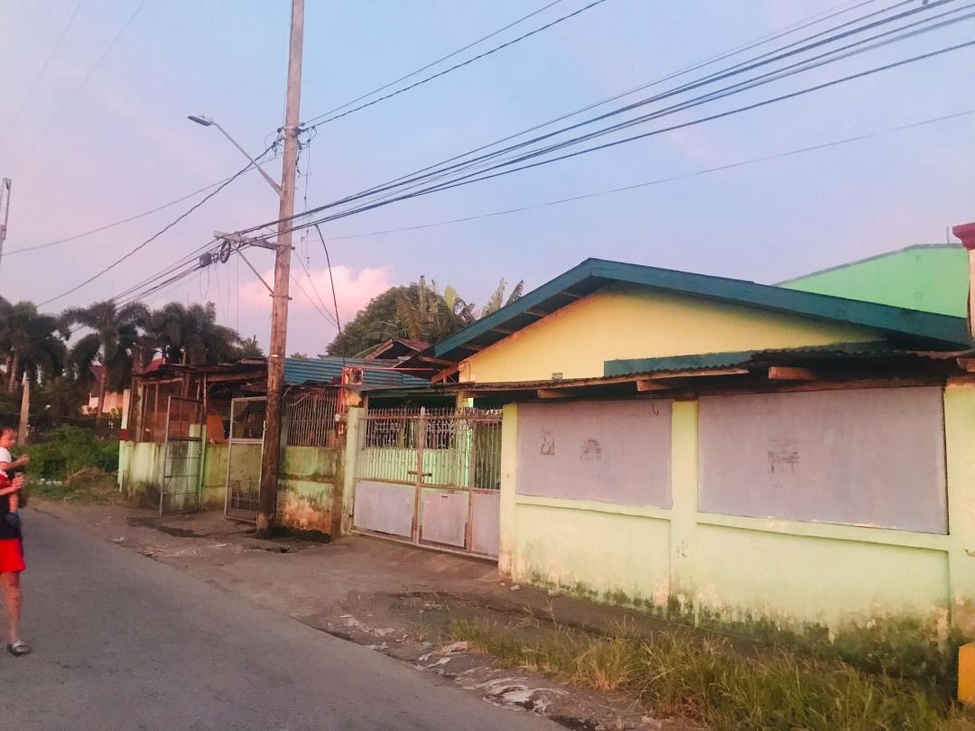 300 SQM House and Lot for Sale Pila Laguna, Property, For Sale, House