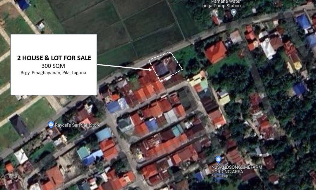 300 SQM House and Lot for Sale Pila Laguna, Property, For Sale, House