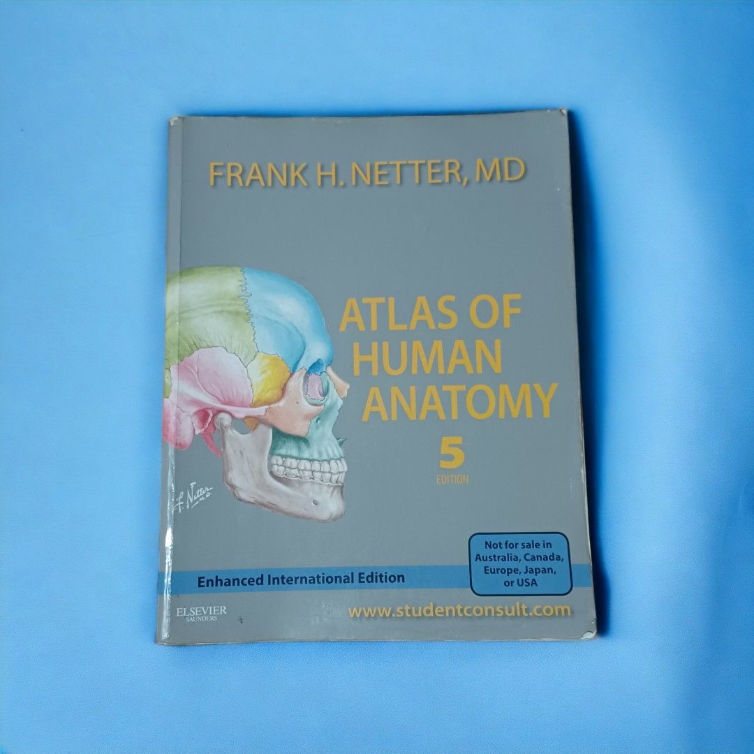 Atlas of Human Anatomy by Frank Netter 5th Edition, Hobbies & Toys ...