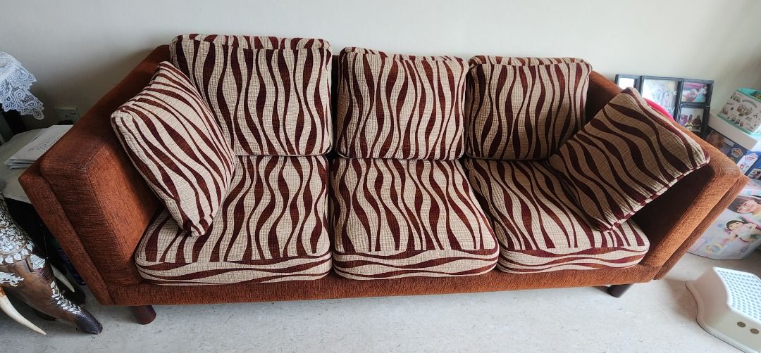Dfs zebra new arrivals sofa