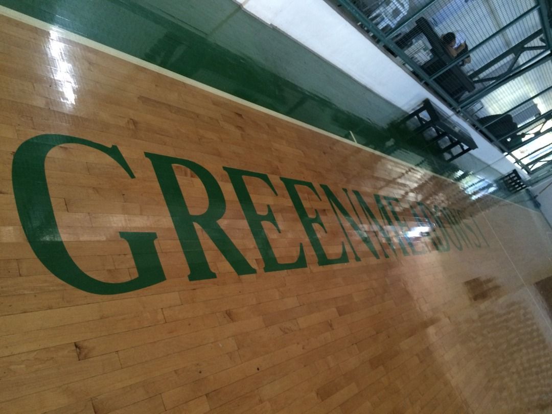 Greenmeadows QC H&L P257M, 805 sqm. Buyer Only, Property, For Sale