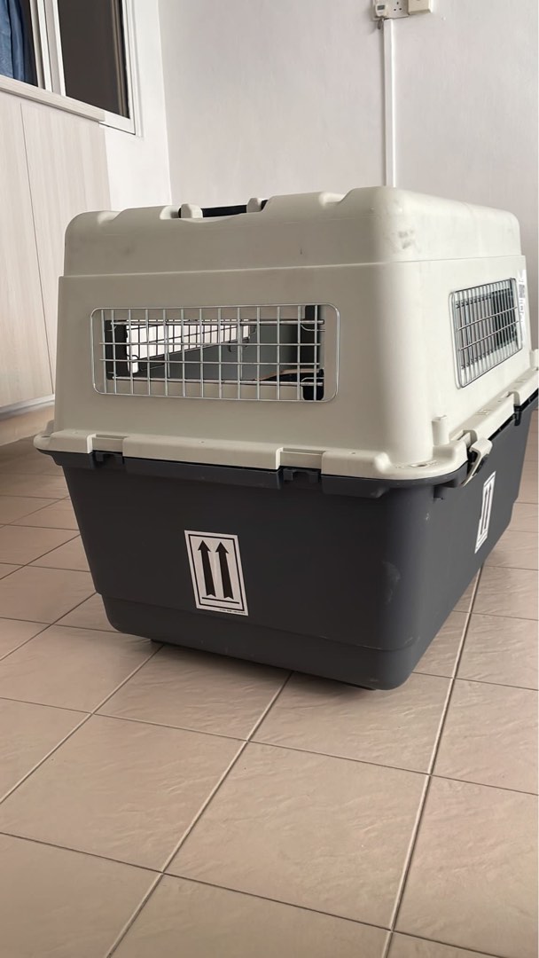 IATA approved dog crate, Pet Supplies, Homes & Other Pet Accessories on
