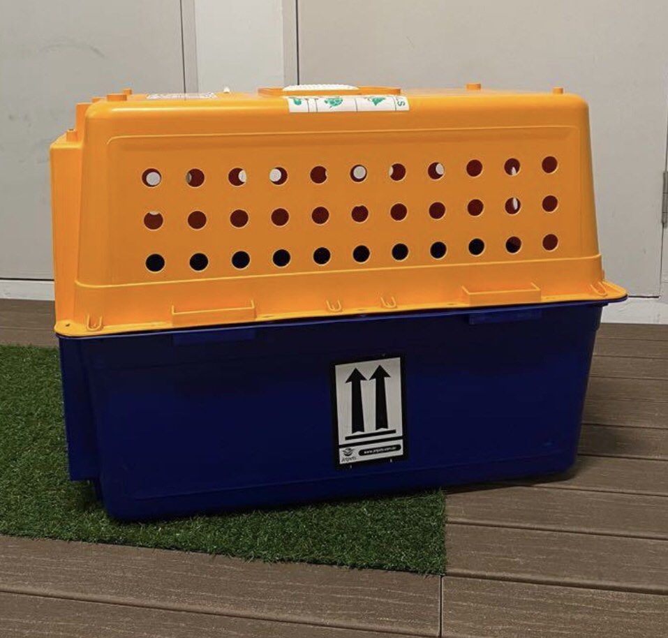 Large Dog Or Cat Crate Pet Supplies Homes Other Pet Accessories On large-dog-or-cat-crate-pet-supplies-homes-other-pet-accessories-on