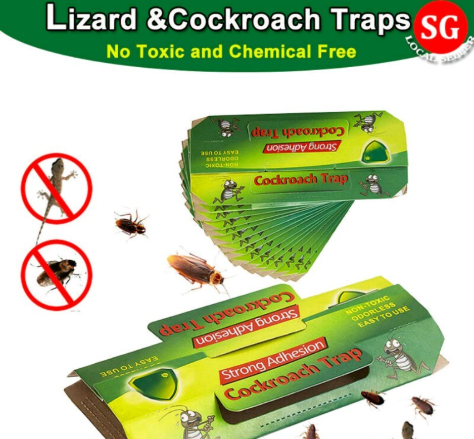 Lizard Traps  ND Pest Control