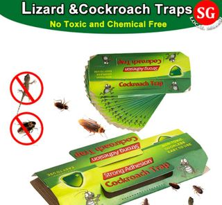 SG Stock) 9pcs (1 box) Lizard Catcher Sticky Trap EXPEST (Non Toxic/ Easy  to use)
