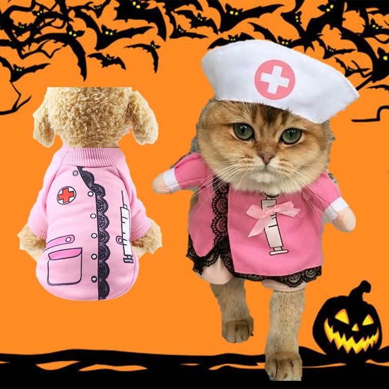 Cat deals nurse costume