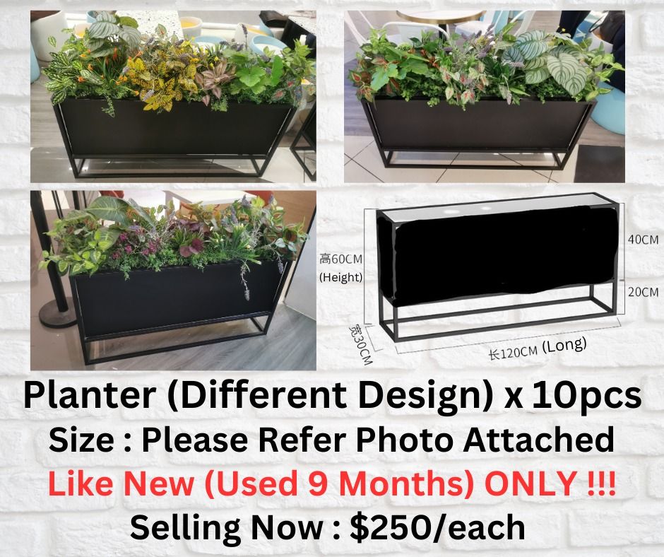 Planter (Different Design) x 10pcs, Furniture & Home Living, Gardening ...
