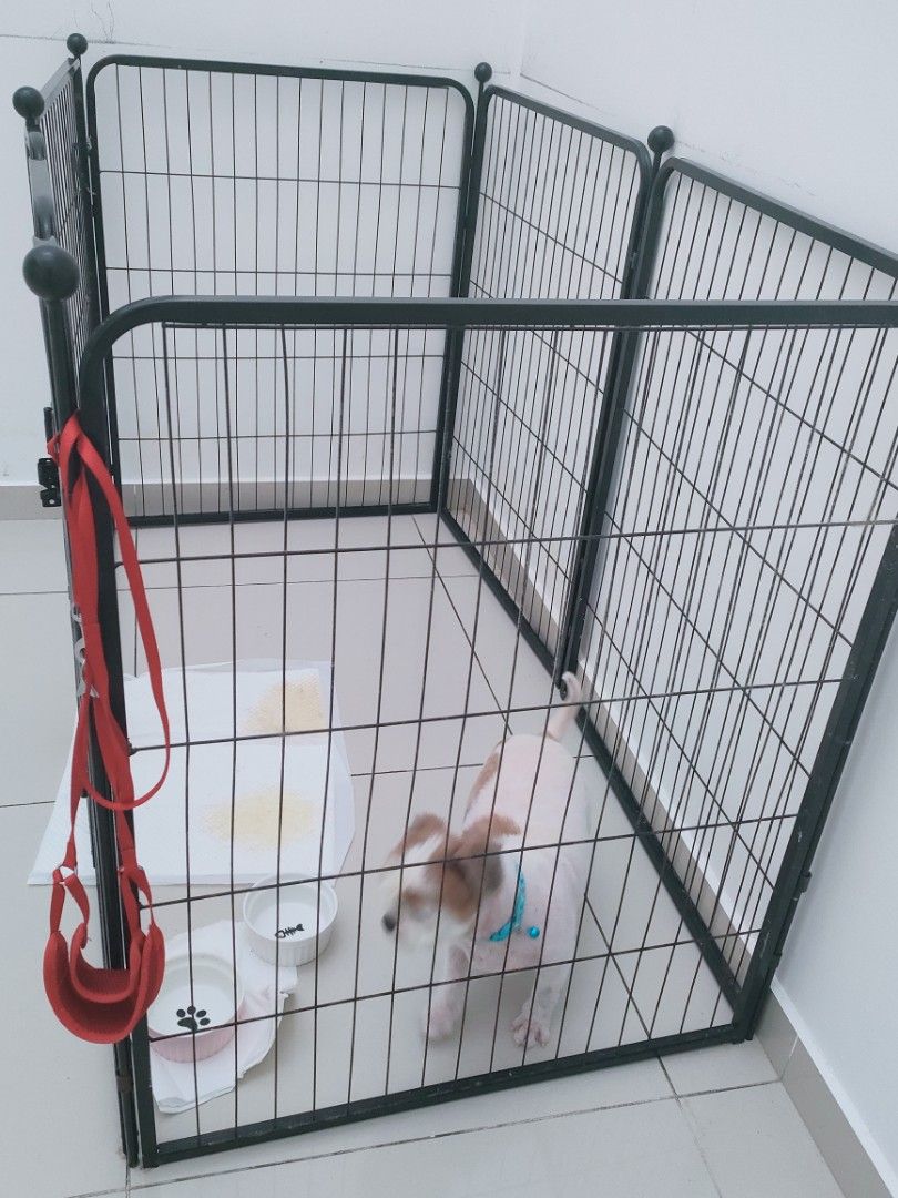 Playpen for dogs shop lazada