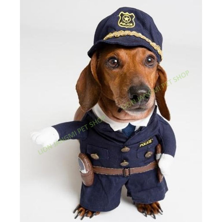 Dog sales swat costume