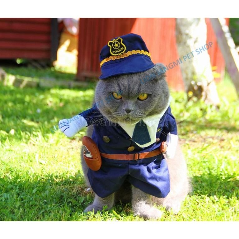 Cat cop hot sale costume