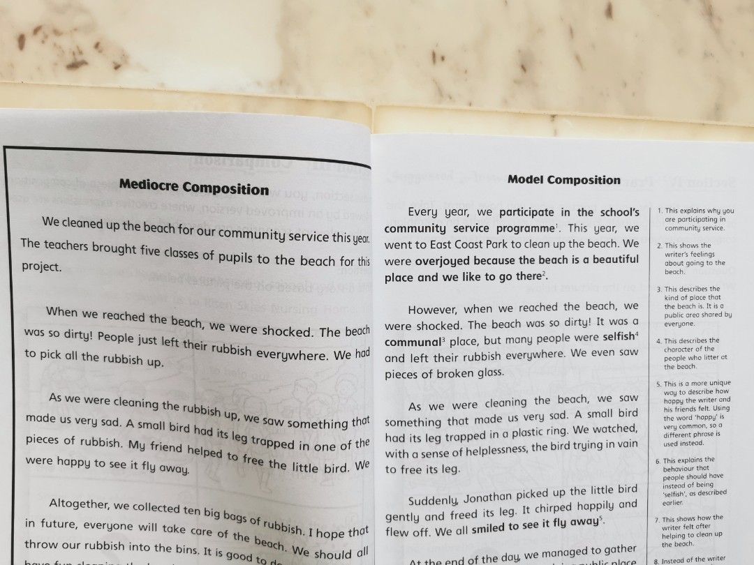 P4 Composition Examples Primary 4 P4 English Thematic Composition Writing, Hobbies & Toys ...