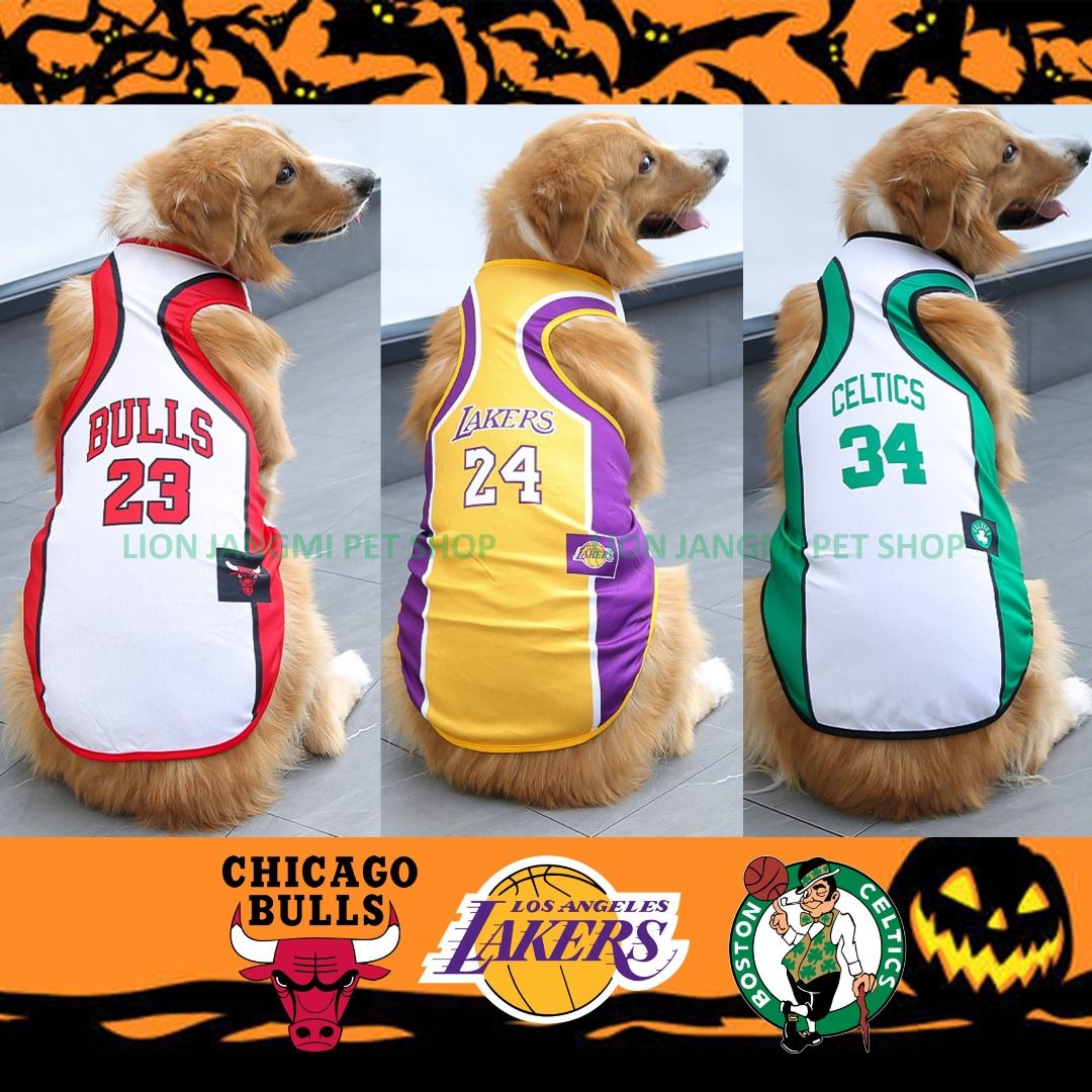 6xl discount nba jerseys