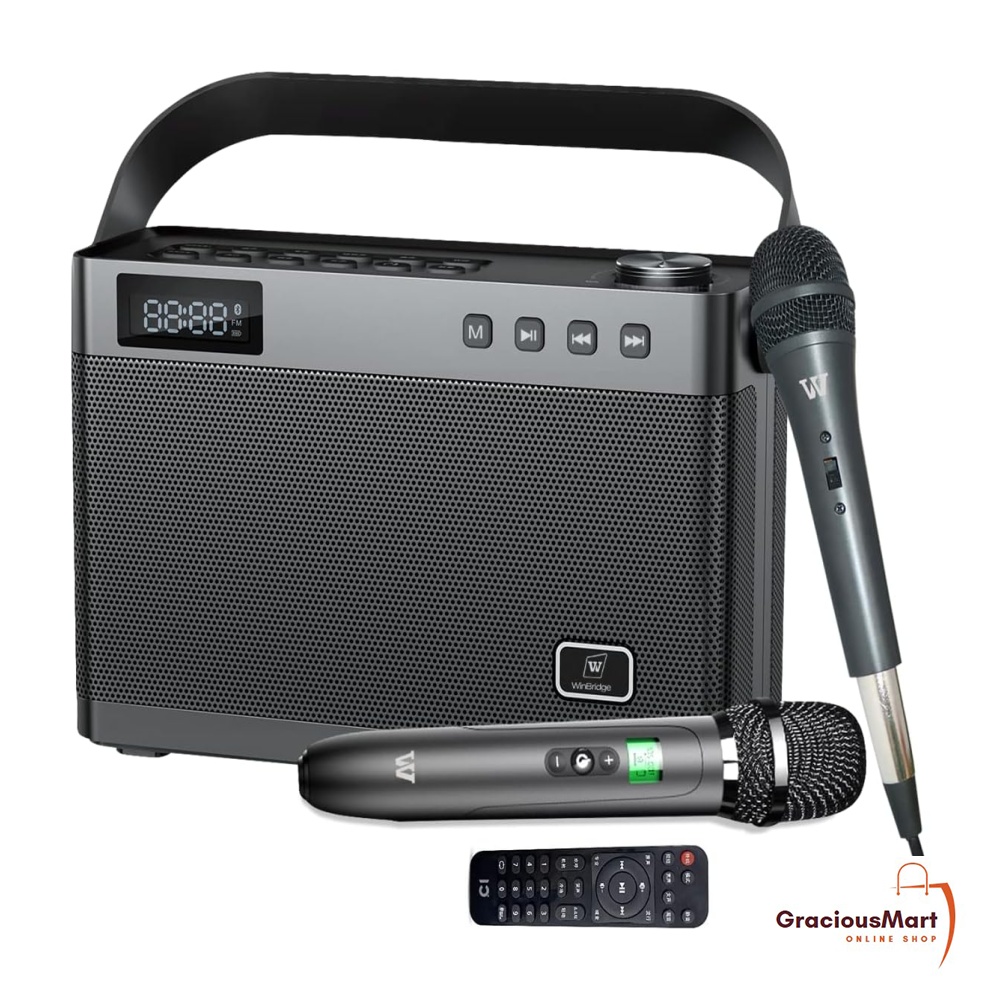WinBridge Karaoke Machine with Wireless Microphones, Portable Bluetooth