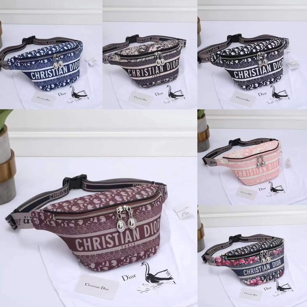 Christian dior hotsell belt bag