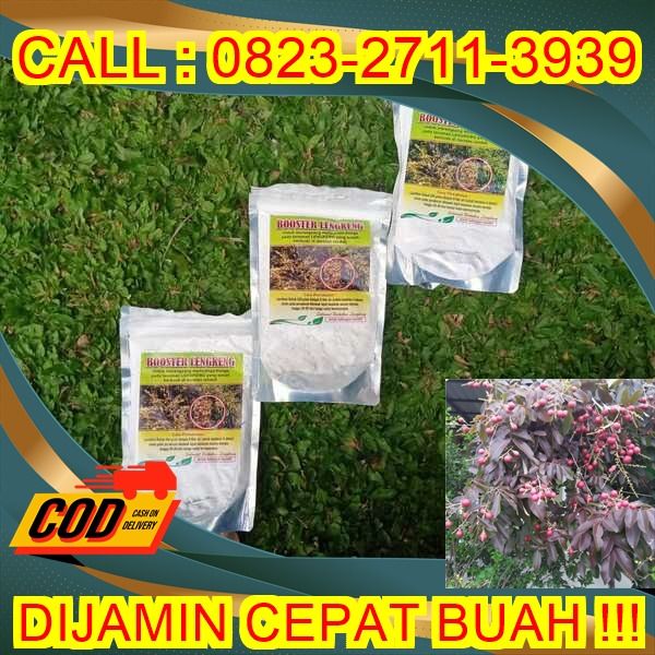 Pasu Bunga Coklat 10'5 (BESAR)