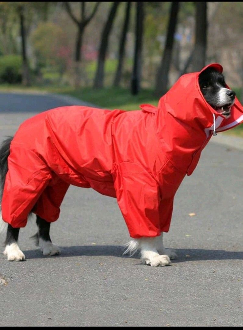 Dog Raincoat for Large Dog Red 4XL