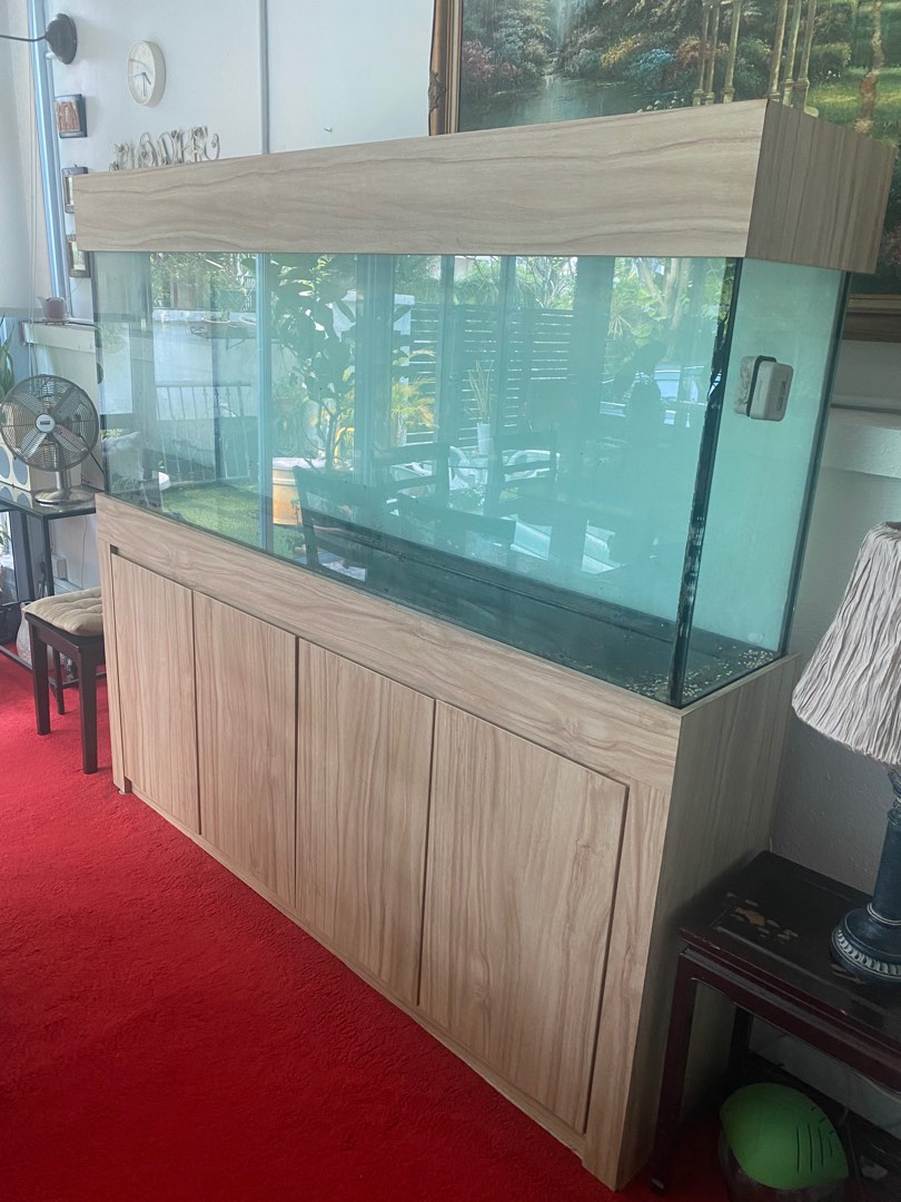 Fish tank, Pet Supplies, Homes & Other Pet Accessories on Carousell
