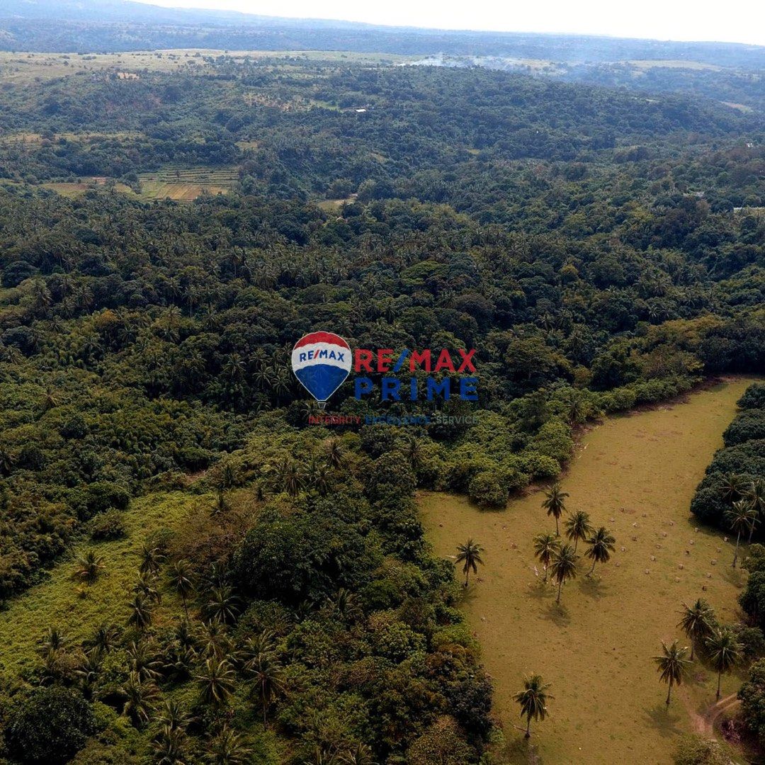 GREENLAND FARM BATAAN AGRICULTURAL LAND FOR SALE, Property, For Sale