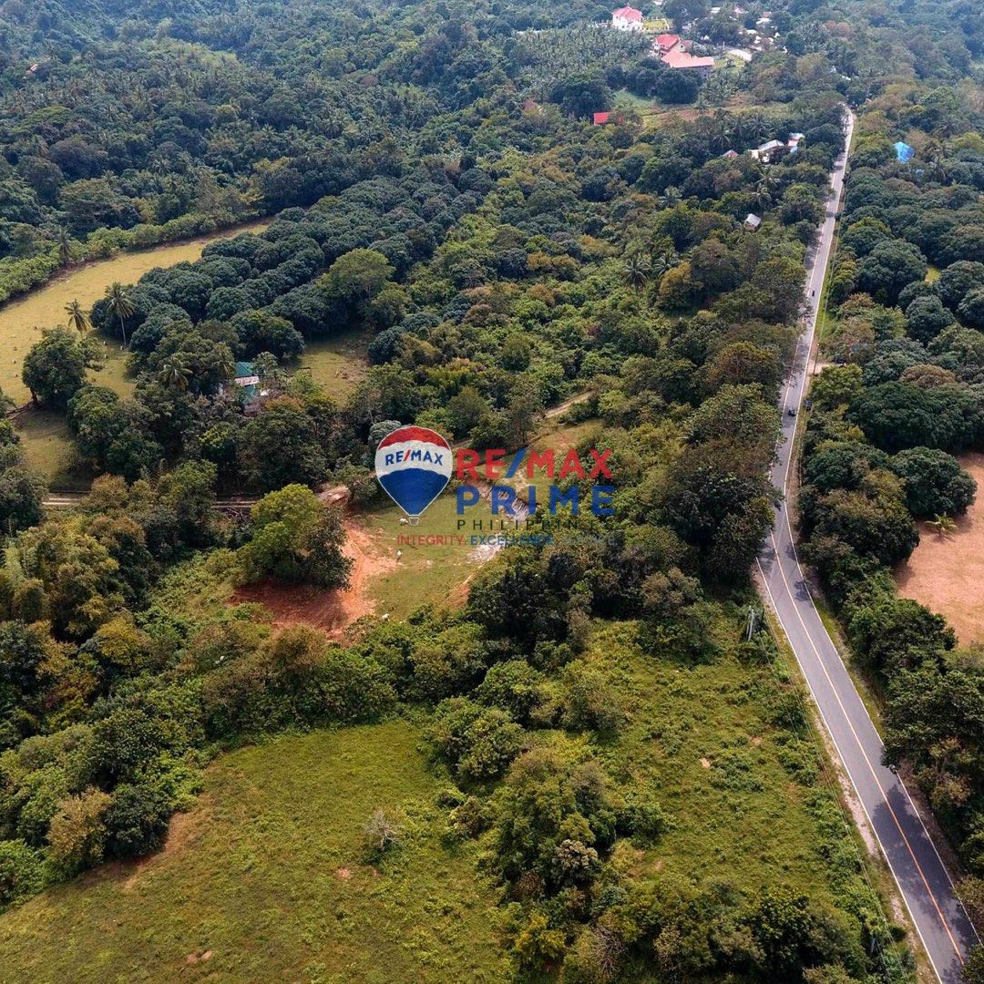 GREENLAND FARM BATAAN AGRICULTURAL LAND FOR SALE, Property, For Sale