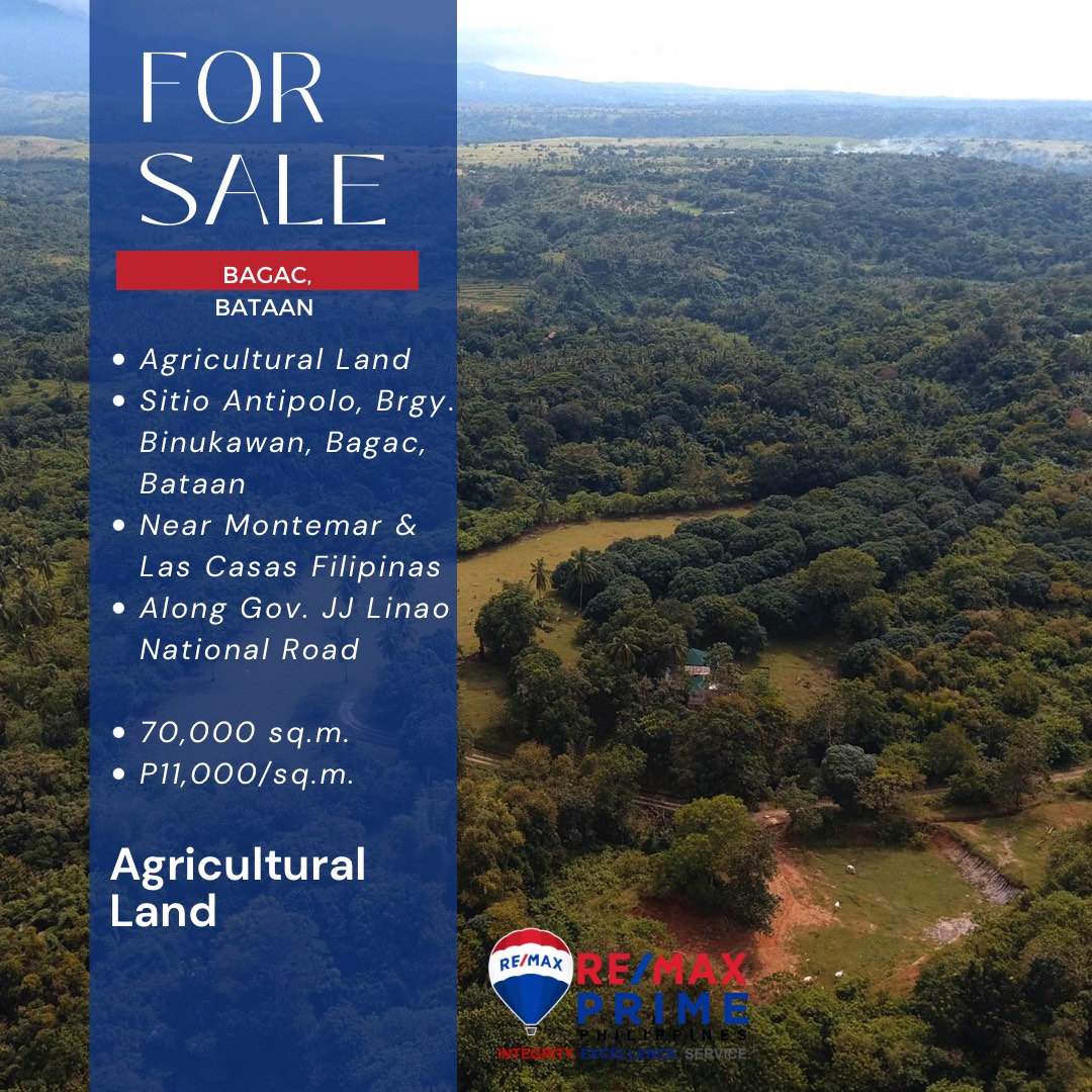GREENLAND FARM BATAAN AGRICULTURAL LAND FOR SALE, Property, For Sale