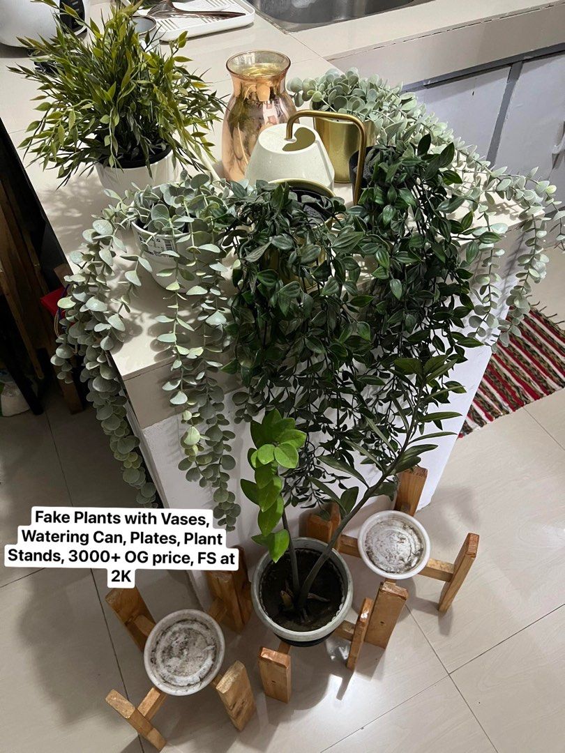 Ikea Artificial Plants, Plants, Ikea Watering Can, Plant Stand, Furniture & Home Living, Home