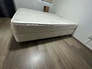 Just used 3 months queen size bed