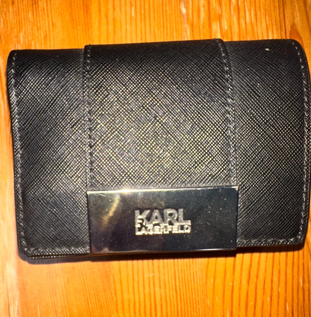 Authentic Karl Lagerfeld Rainbow Signature Logo Card Wallet., Women's  Fashion, Bags & Wallets, Purses & Pouches on Carousell
