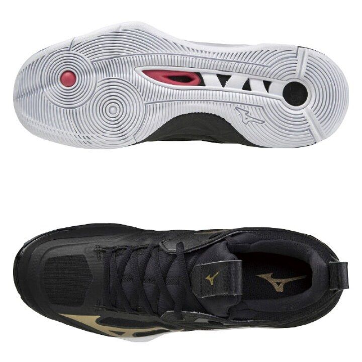 Mizuno MIZUNO Volleyball Shoes WAVE MOMENTUM 2 WAVE MOMENTUM 2 V1GA2112 52 Low Cut Men s Women s Carousell