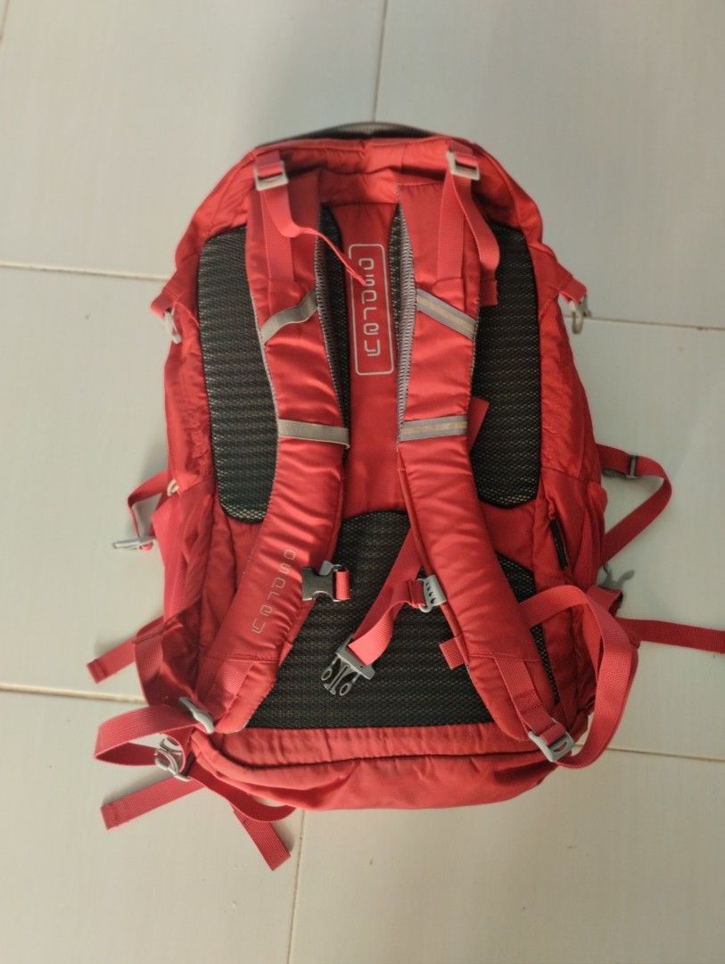 Osprey quantum 34 sales