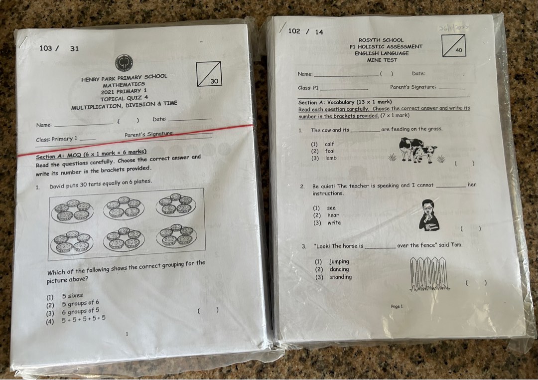 P1 Test Paper English And Maths 2019 2022 Hobbies Toys Books P1 Test Paper English And Maths 2019 2022 Hobbies Toys Books