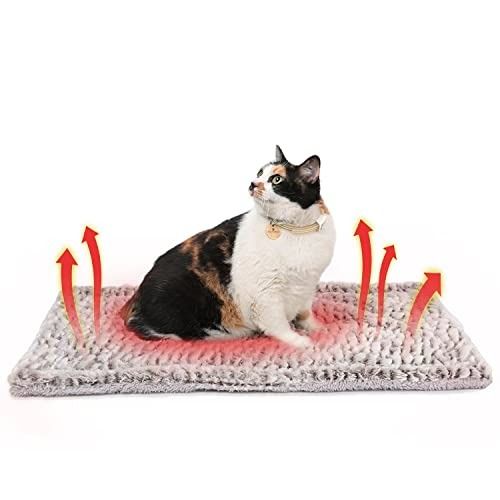 Outdoor cat blanket top