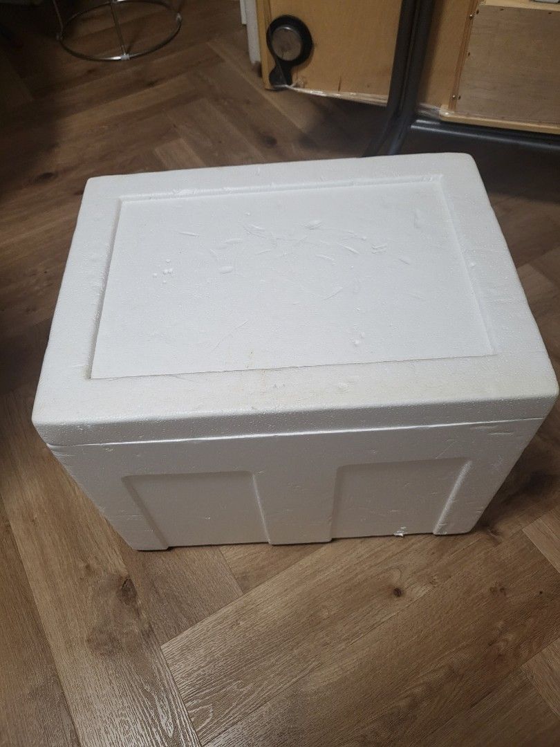Styrofoam cooler box, Everything Else on Carousell