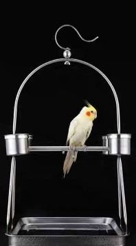 2 sizes of stainless steel parrot stand. 27x18x49cm Bird stand for