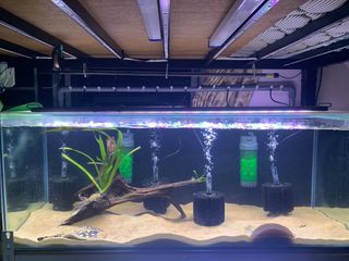 (Category: ) located in . Submitted by indomieee (Listing ID 1258707080, Image 1). Description: .